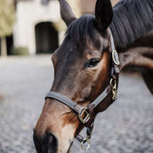 Kentucky Horsewear Cabezada Gris