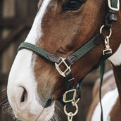 Kentucky Horsewear Cabezada Verde Oliva