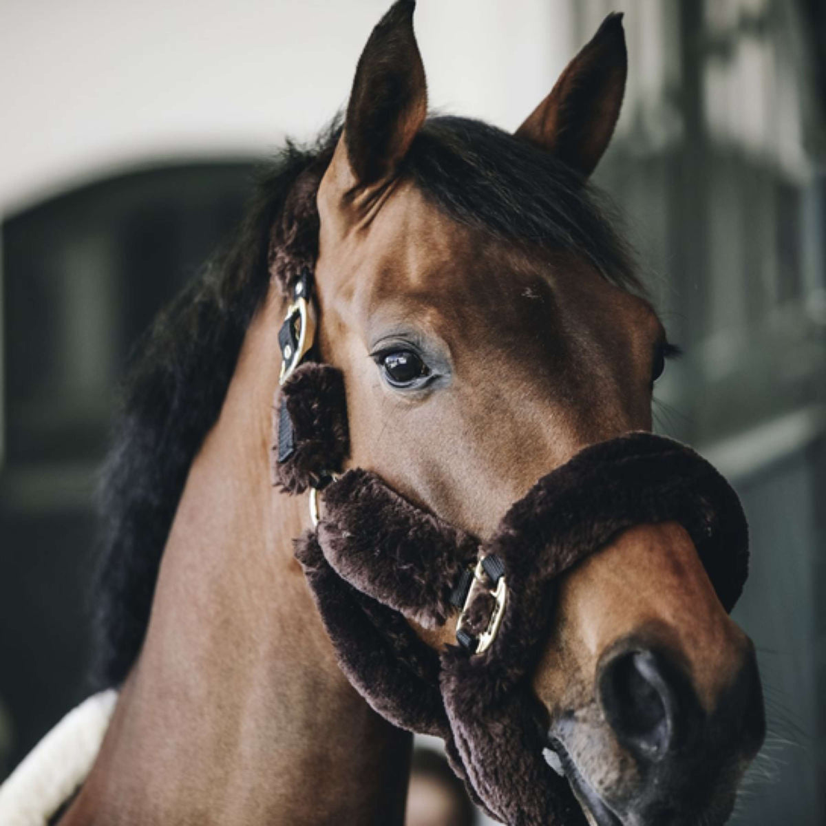 Kentucky Horsewear Cabezada Sheepskin Marron