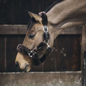 Kentucky Horsewear Cabezada Sheepskin Marron