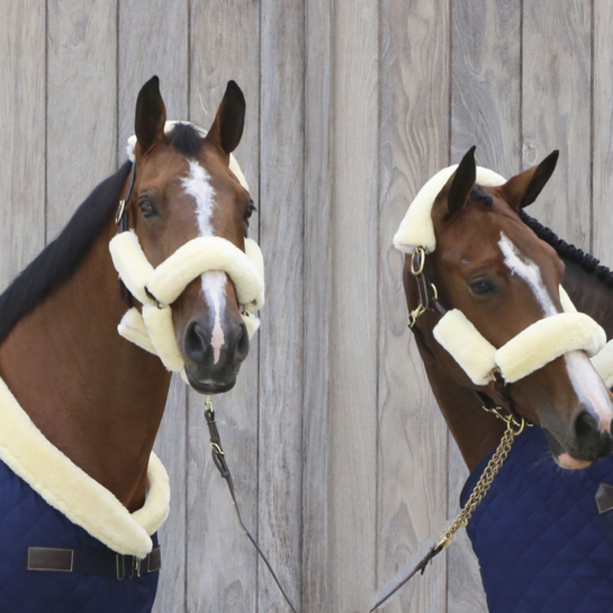 Kentucky Horsewear Protección para Cabestro de Piel Sheepskin Natural