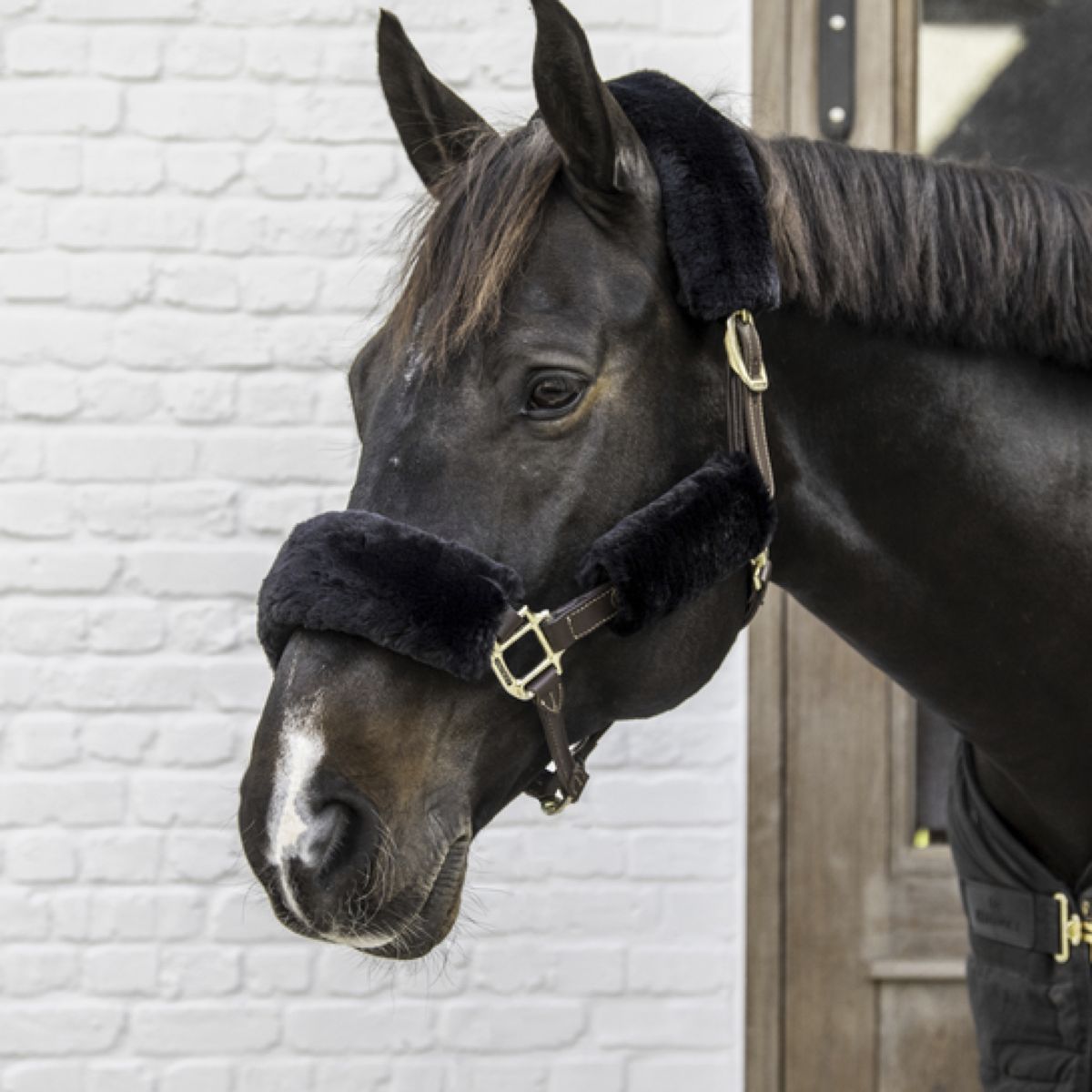 Kentucky Horsewear Protección para Cabestro de Piel Sheepskin Negro