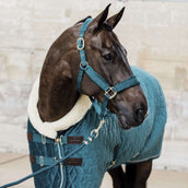 Kentucky Horsewear Cuerda de Cabestro Basic Esmeralda
