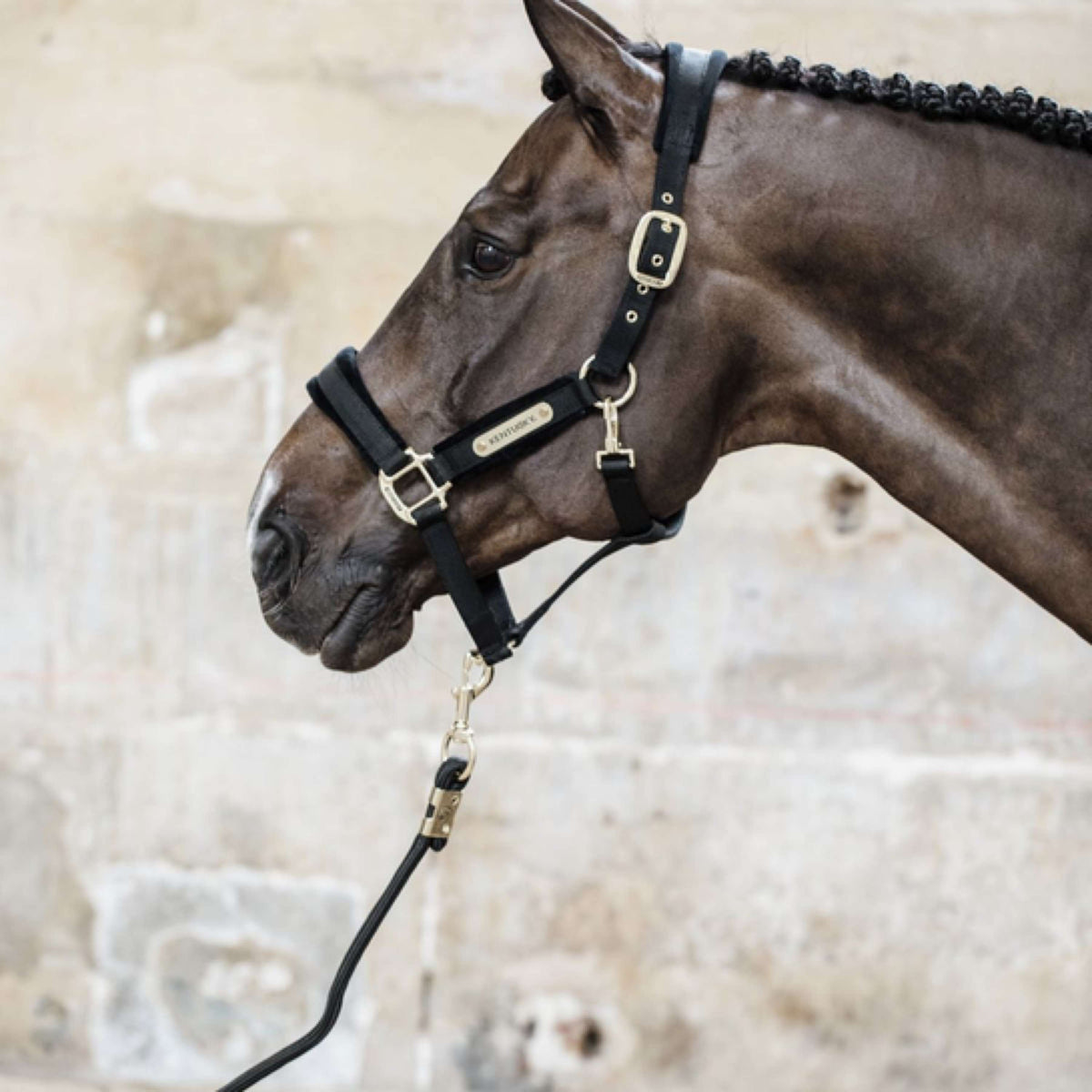 Kentucky Horsewear Cuerda de Cabestro Basic Negro