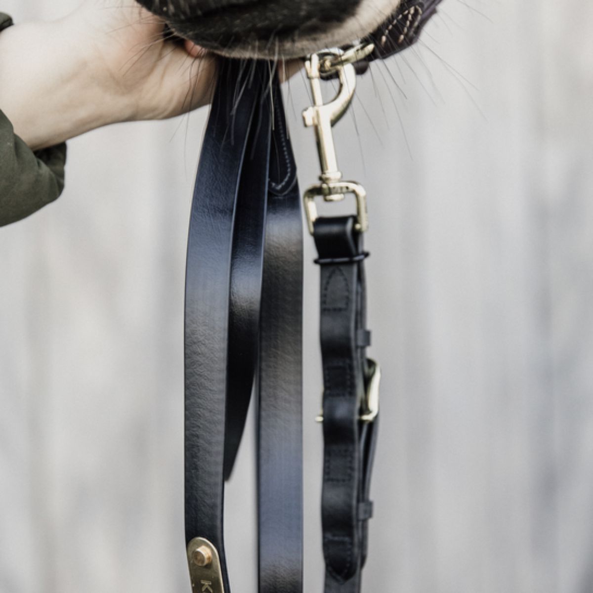 Kentucky Horsewear Cuerda de Cabestro Negro