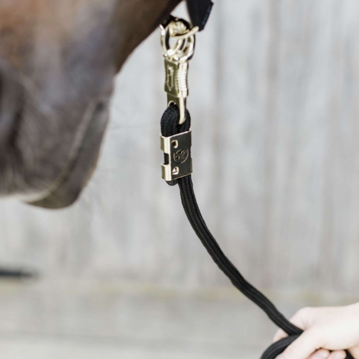 Kentucky Horsewear Cuerda de Cabestro Español: Mosquetón de pánico Negro