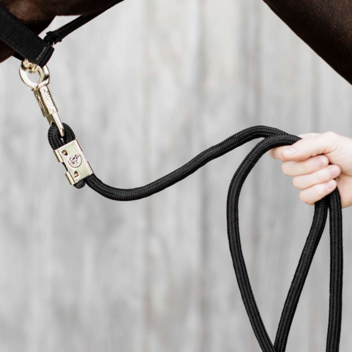 Kentucky Horsewear Cuerda de Cabestro Español: Mosquetón de pánico Negro