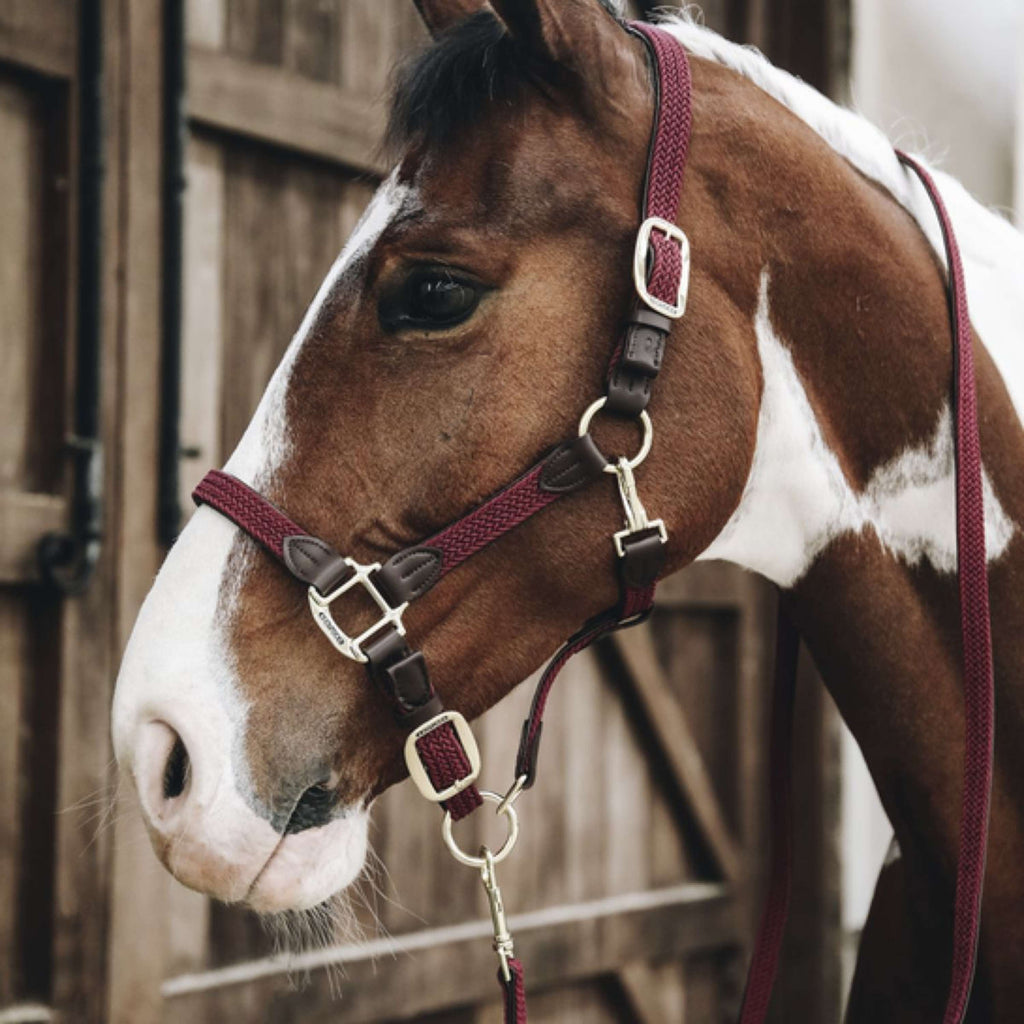 Kentucky Horsewear Cabestro Nylon trenzado Bordeaux