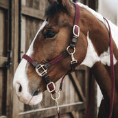 Kentucky Horsewear Cabezada Bordeaux