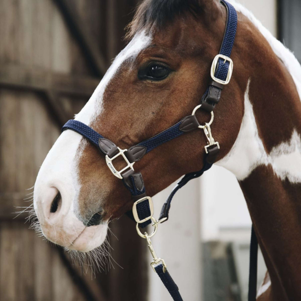 Kentucky Horsewear Cabestro Nylon trenzado Navy
