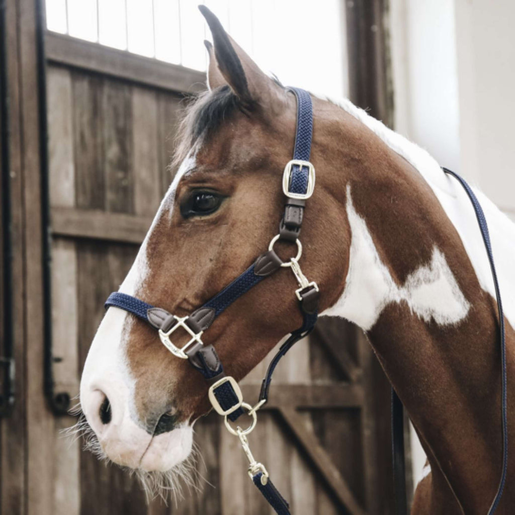 Kentucky Horsewear Cabestro Nylon trenzado Navy