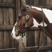 Kentucky Horsewear Cabezada Verde Oliva