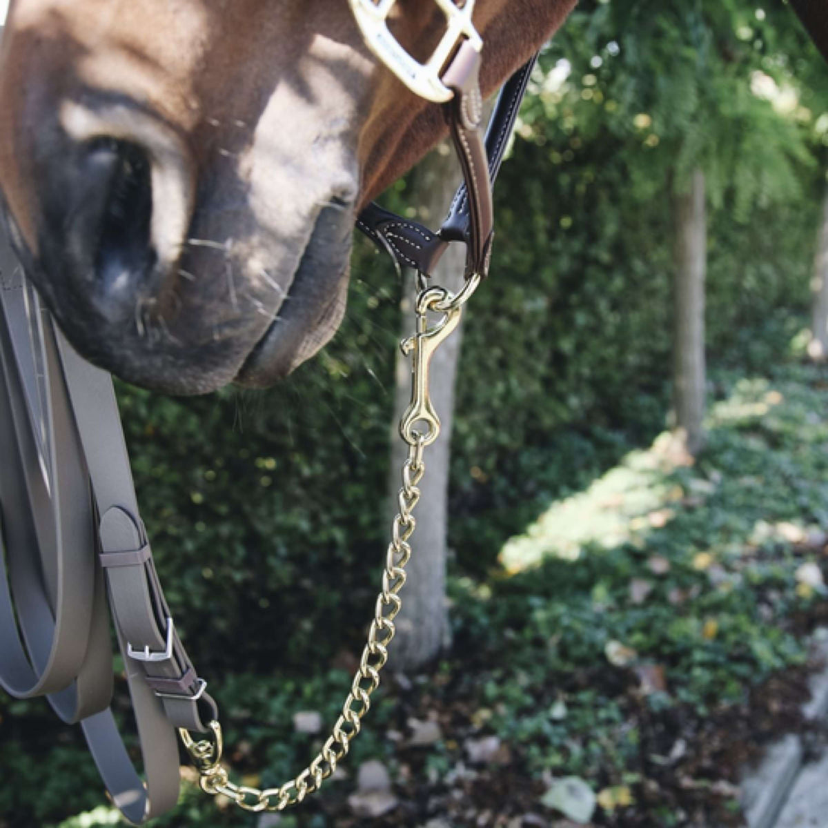 Kentucky Horsewear Cadena de Exhibición