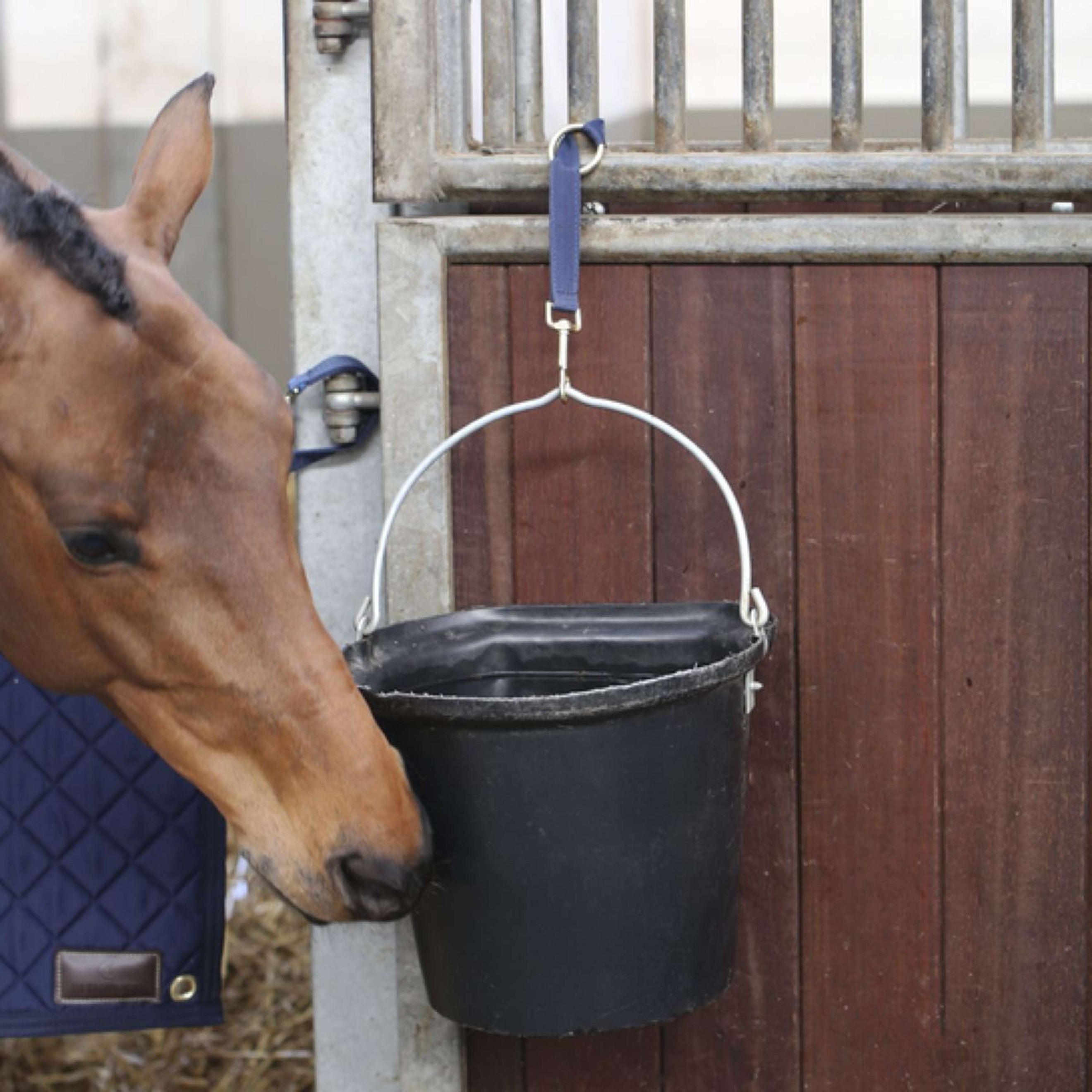 Kentucky Horsewear Gancho y anillo de soporte Nylon Navy Kentucky Horsewear Gancho y anillo de soporte Nylon Navy