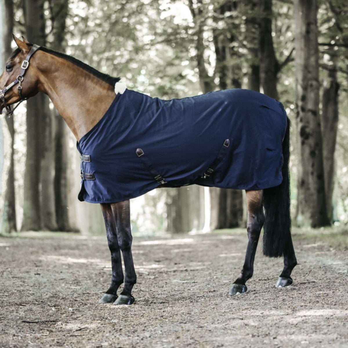 Kentucky Horsewear Manta de algodón Navy