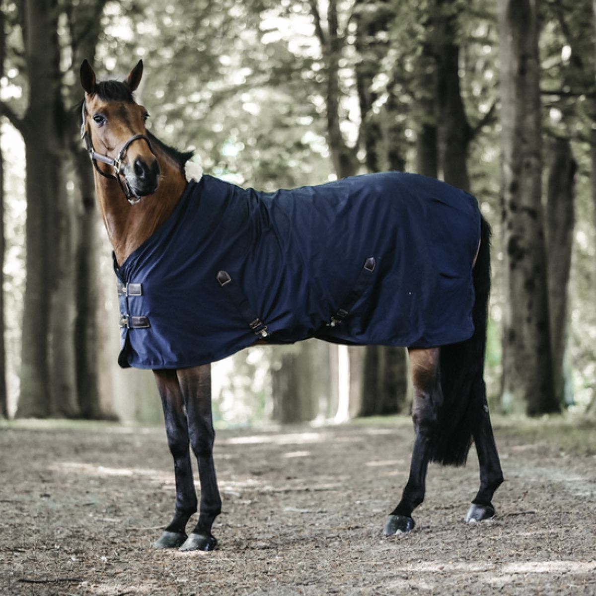 Kentucky Horsewear Manta de algodón Navy