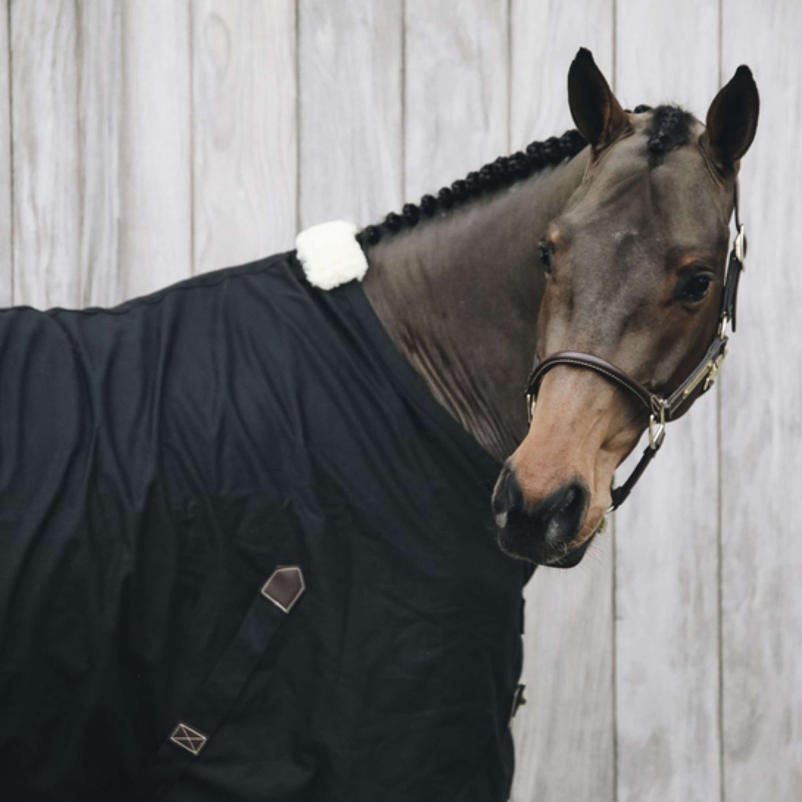 Kentucky Horsewear Manta de algodón Negro Kentucky Horsewear Manta de algodón Negro
