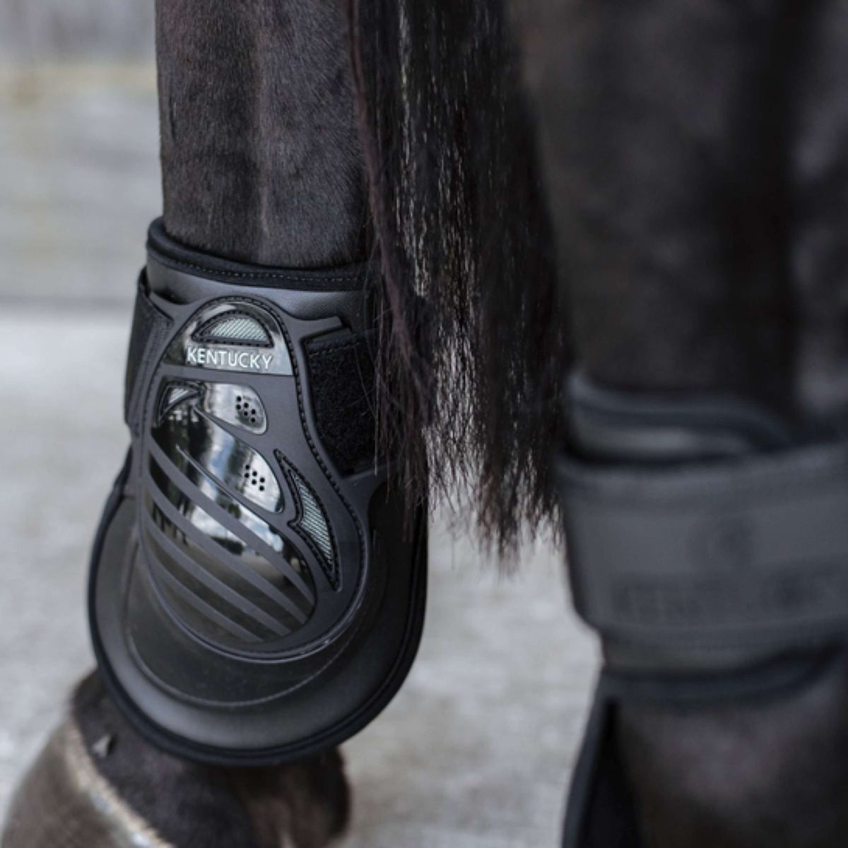 Kentucky Horsewear Botas protectoras de menudillo Deep Negro