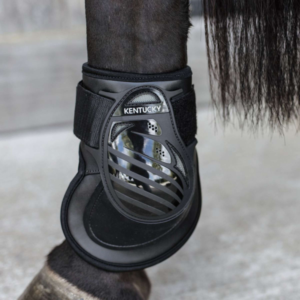 Kentucky Horsewear Botas protectoras de menudillo Deep Negro