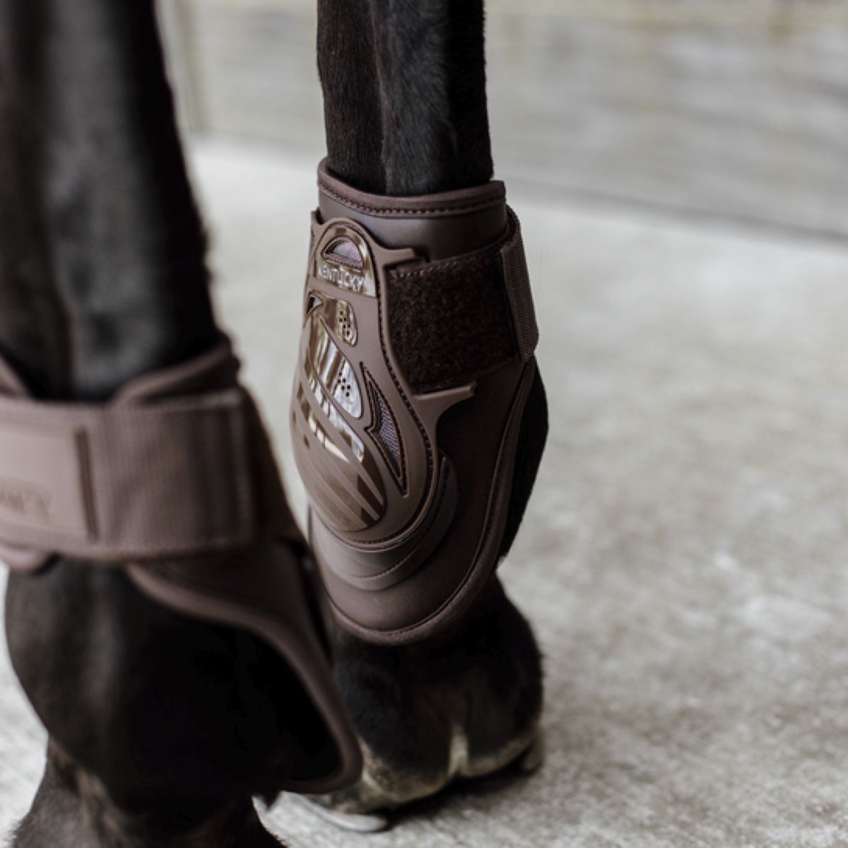 Kentucky Horsewear Botas protectoras de menudillo Deep Marron
