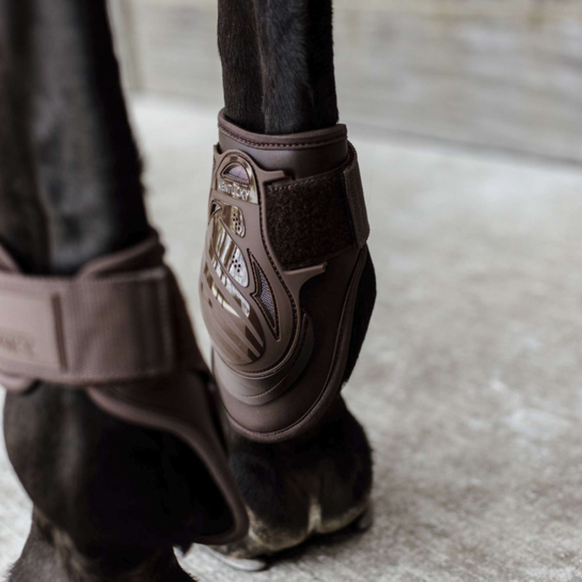 Kentucky Horsewear Botas protectoras de menudillo Deep Marron