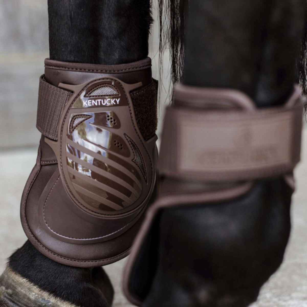 Kentucky Horsewear Botas protectoras de menudillo Deep Marron