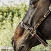 Kentucky Horsewear Cabestro de Cuero Cuero Flexible Marron