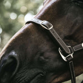Kentucky Horsewear Cabestro de Cuero Cuero Flexible Marron
