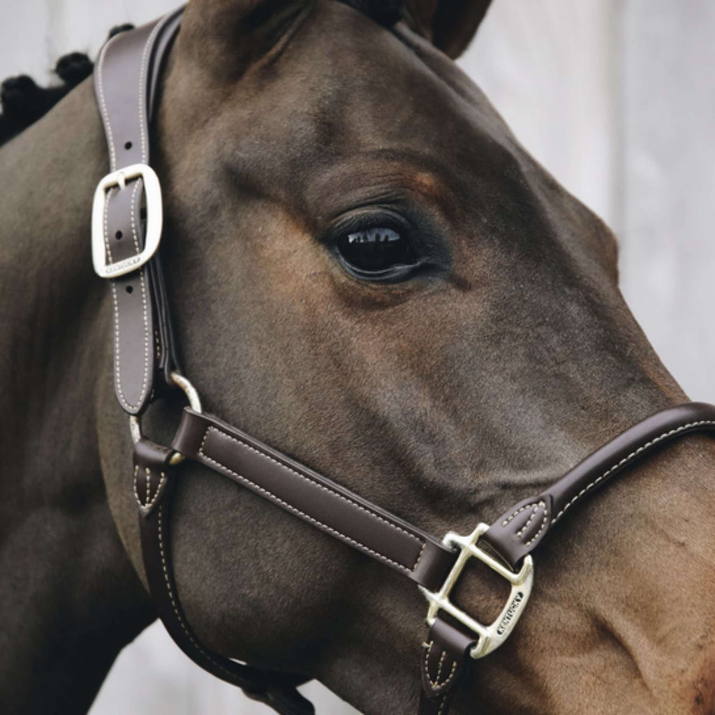 Kentucky Horsewear Cabestro Cuero Anatómico Marron