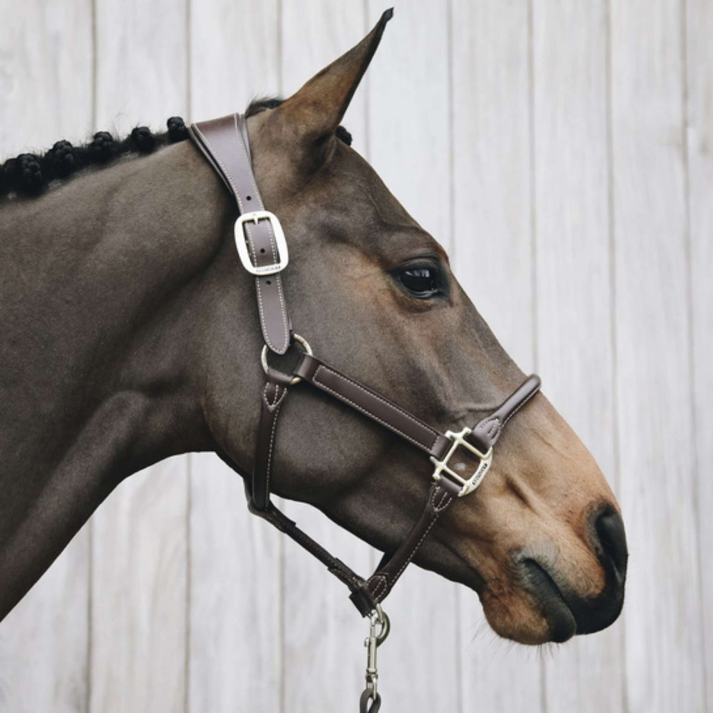Kentucky Horsewear Cabestro Cuero Anatómico Marron