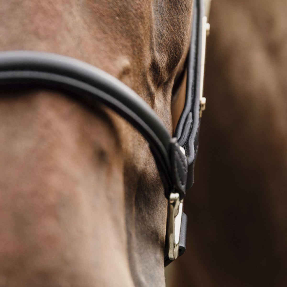 Kentucky Horsewear Cabezada Negro