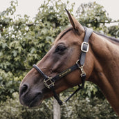 Kentucky Horsewear Cabezada Negro