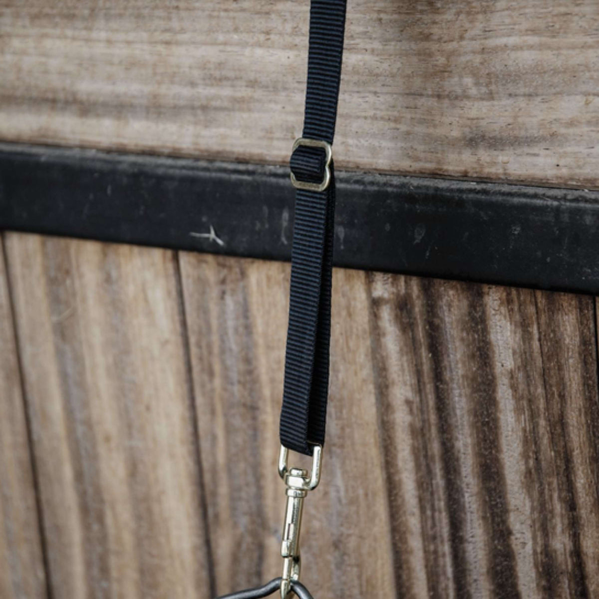 Kentucky Horsewear Soporte de nailon Negro
