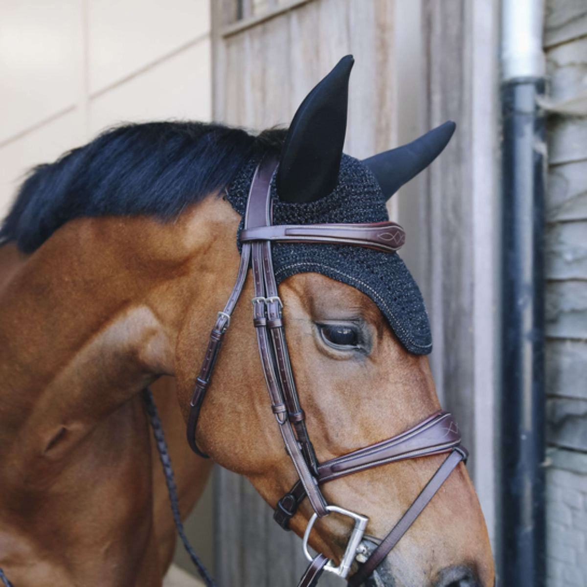 Kentucky Horsewear Cubre orejas Wellington Negro