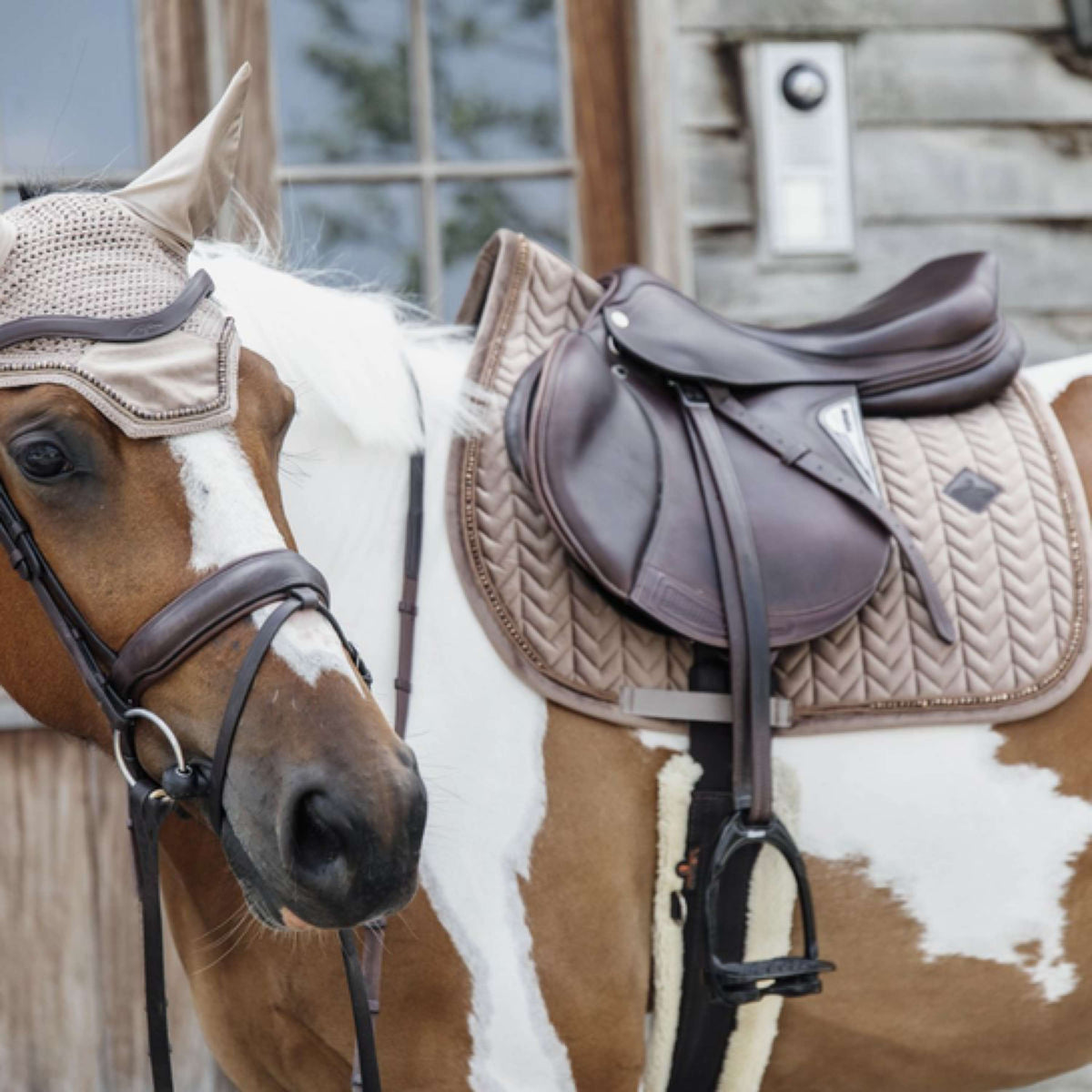 Kentucky Horsewear Bonete para Orejas Wellington Velvet Pearls Beige