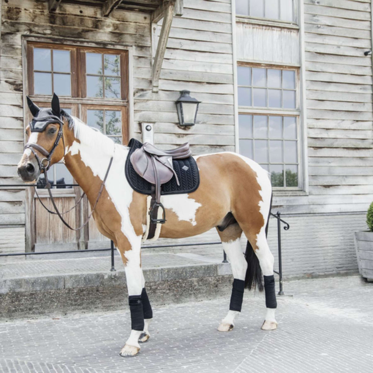 Kentucky Horsewear Bonete para Orejas Wellington Velvet Pearls Negro
