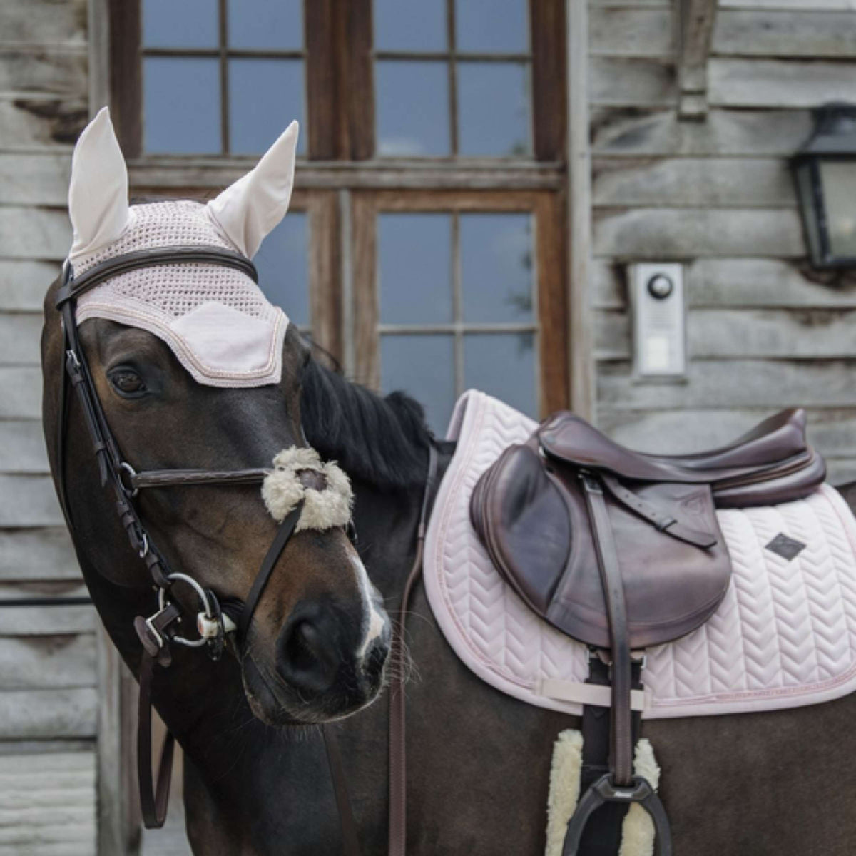 Kentucky Horsewear Bonete para Orejas Wellington Velvet Pearls Soft Rose