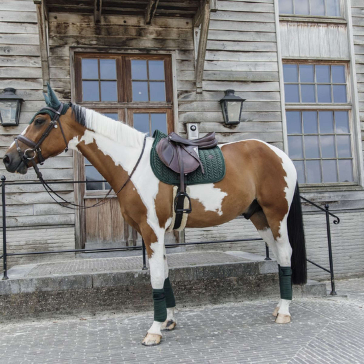 Kentucky Horsewear Bonete para Orejas Wellington Velvet Pearls Pine Green