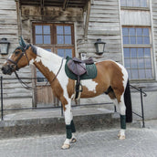 Kentucky Horsewear Bonete para Orejas Wellington Velvet Pearls Pine Green