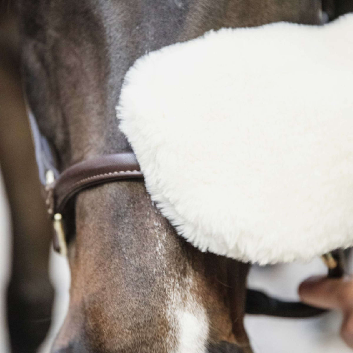 Kentucky Horsewear Guante de Aseo Español (ES): Lana Natural