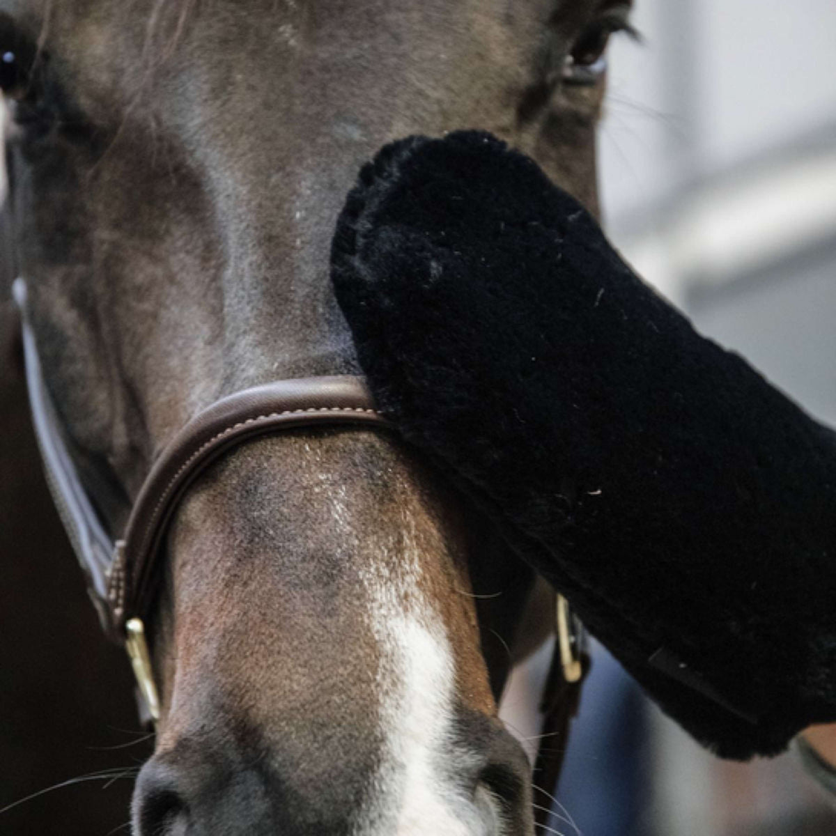 Kentucky Horsewear Guante de Aseo Español (ES): Lana Negro
