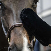 Kentucky Horsewear Guante de Aseo Español (ES): Lana Negro