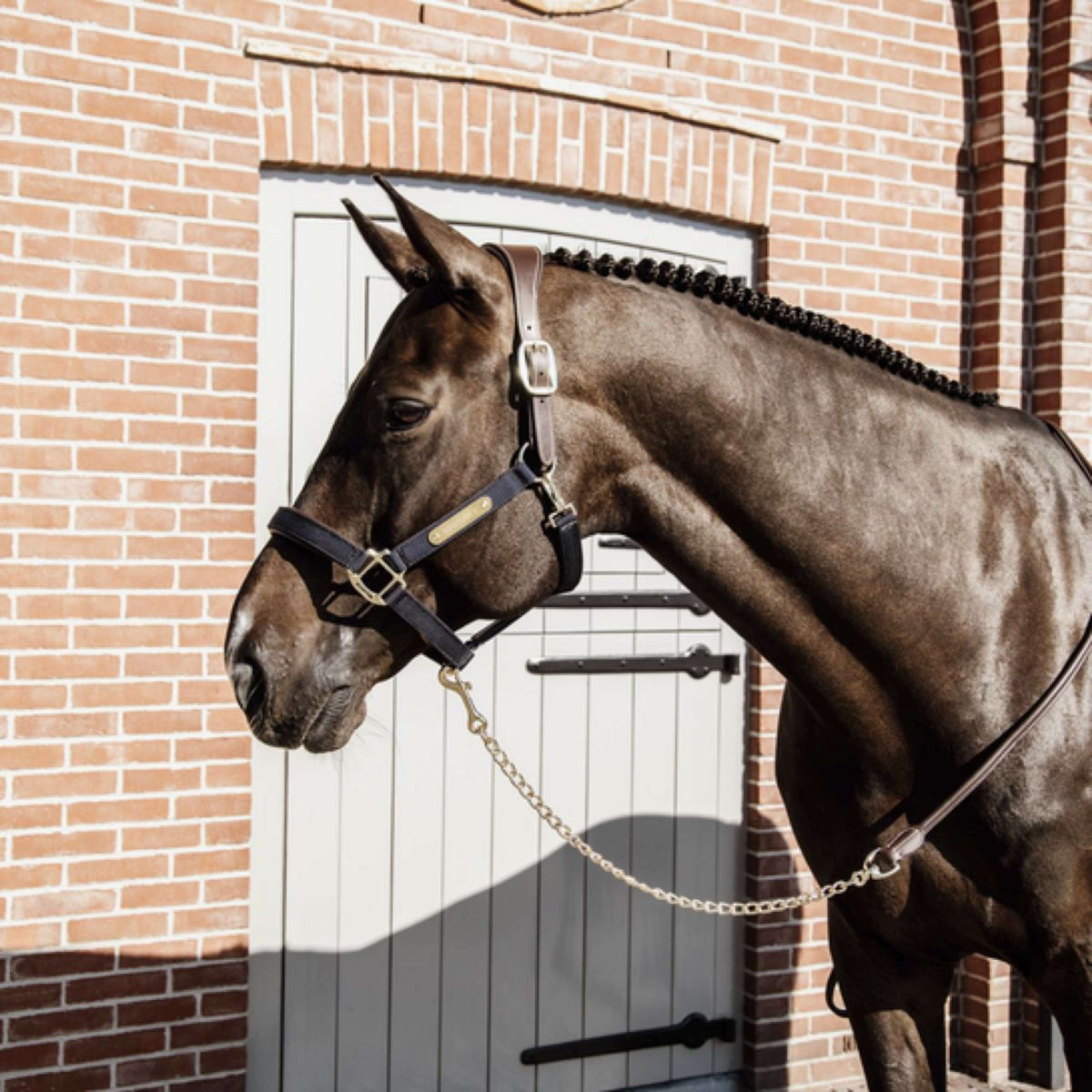 Kentucky Horsewear Cuerda de Presentación Leather Chain Marron
