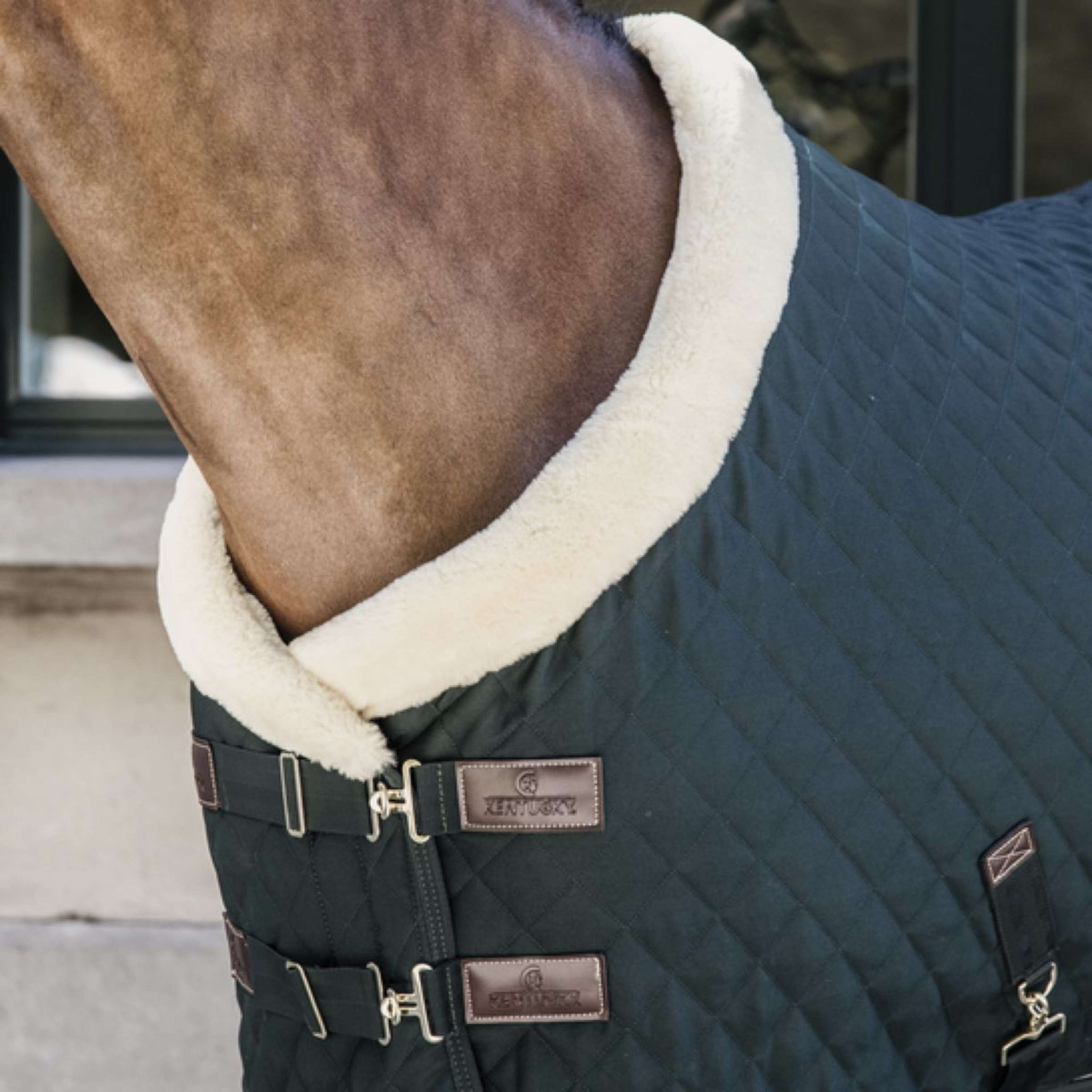 Kentucky Horsewear Manta de exhibición 160g Verde Oscuro Kentucky Horsewear Manta de exhibición 160g Verde Oscuro