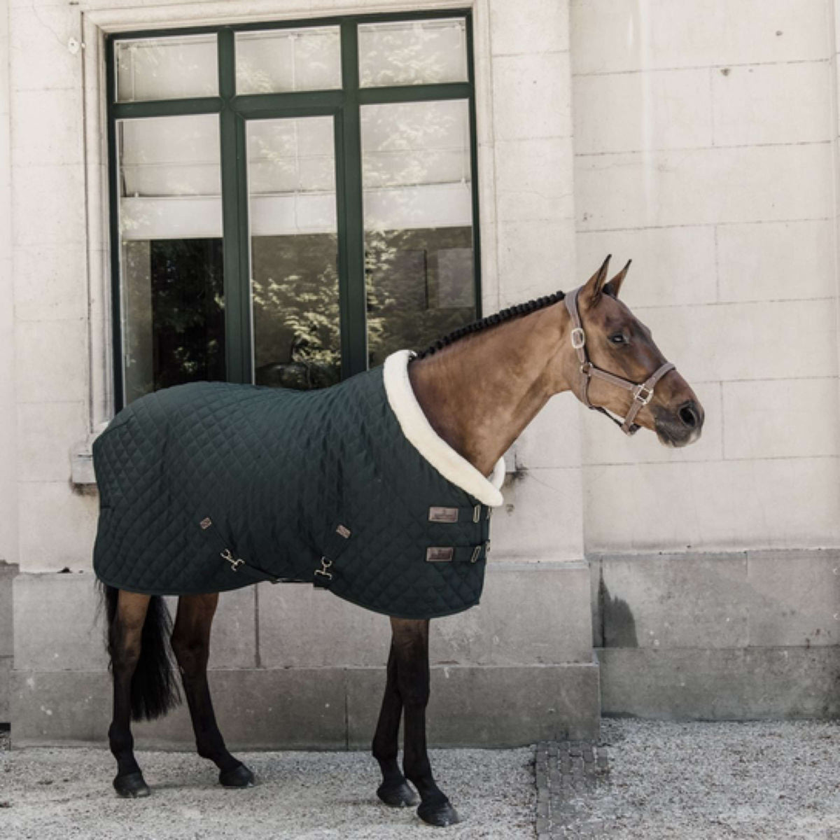 Kentucky Horsewear Manta de exhibición 160g Verde Oscuro