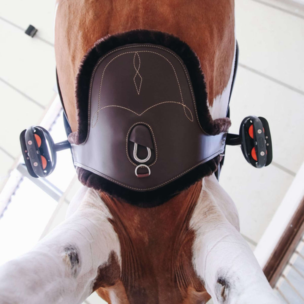 Kentucky Horsewear Funda de Cincha Marron