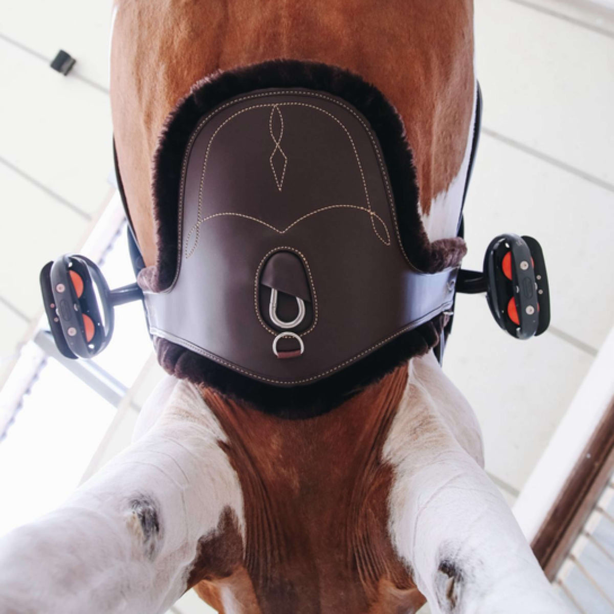 Kentucky Horsewear Funda de Cincha Marron