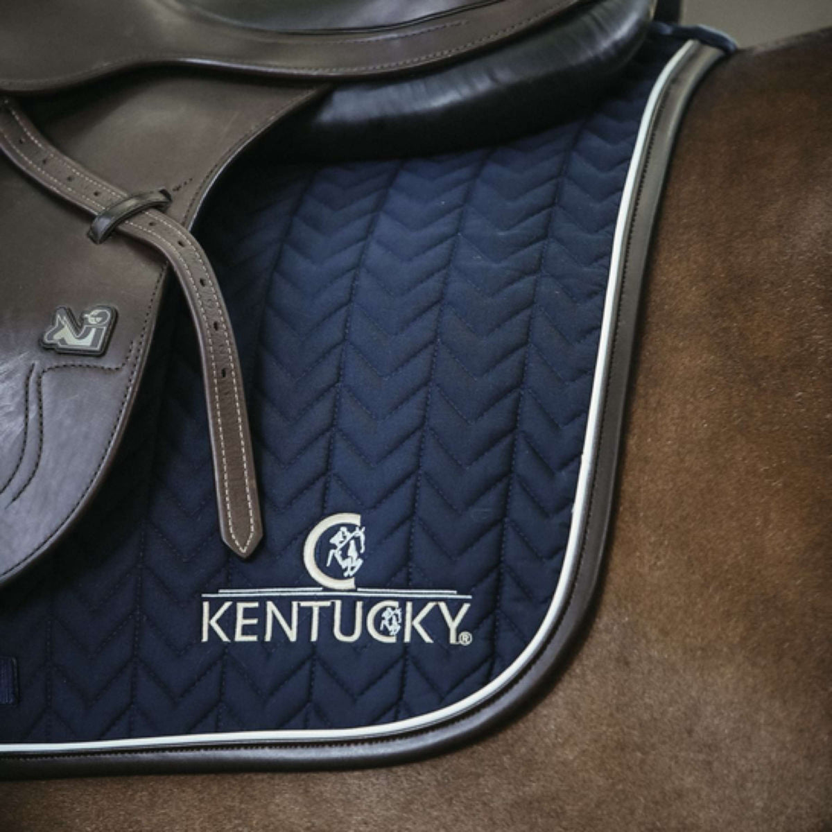 Kentucky Horsewear Mantilla de resorte Fishbone Cuero Navy