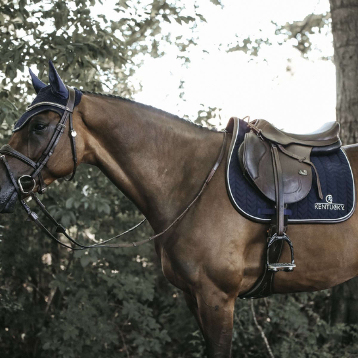 Kentucky Horsewear Mantilla de resorte Fishbone Cuero Navy