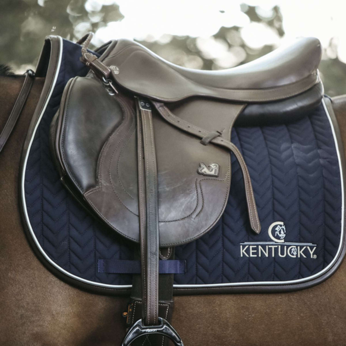 Kentucky Horsewear Mantilla de resorte Fishbone Cuero Navy